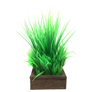 AQUA ONE PLANTER BOX GREEN GRASSES