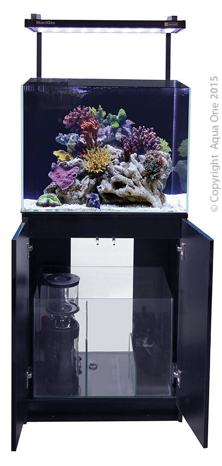 Aqua one marine tank hotsell