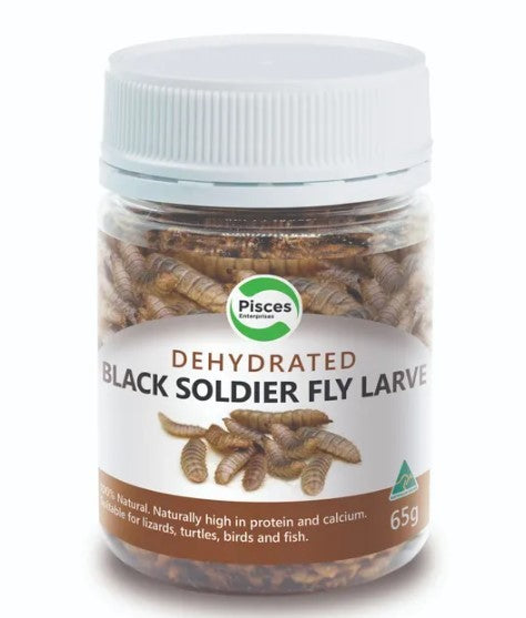 PISCES DEHYDRATED BLACKSOLDIER FLY LARVE 65G