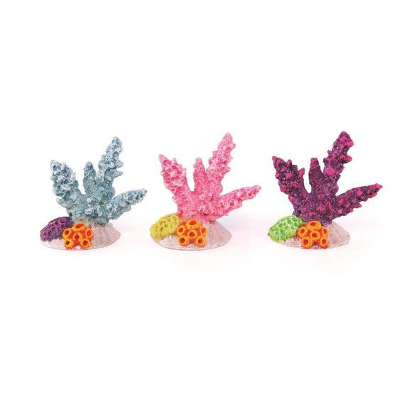 KAZOO CORAL WITH SHELL ASSORTED COLOUR MINI